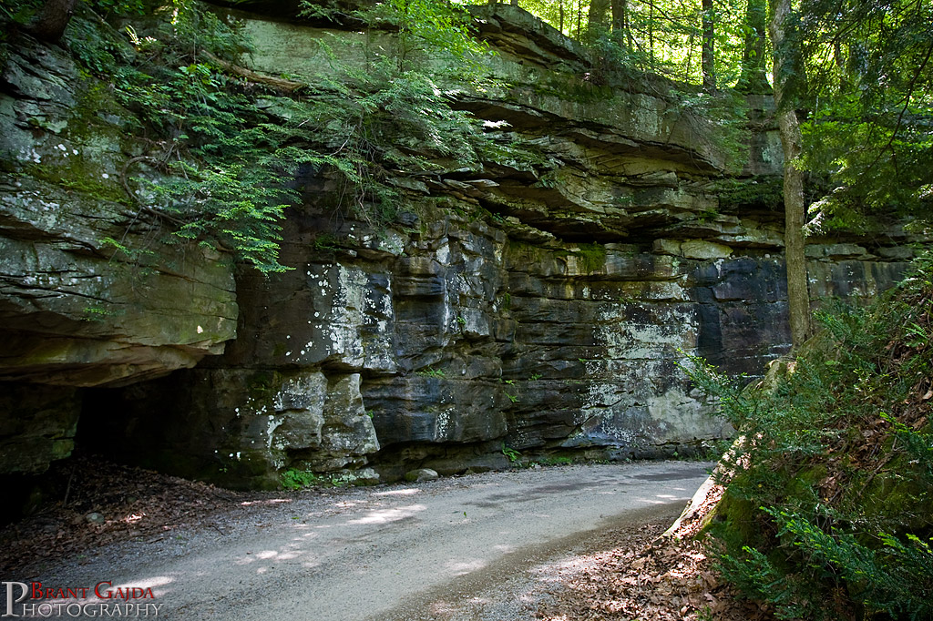 IMAGE: http://www.brantgajda.com/images/gallery/landscape/large/landscape9.jpg